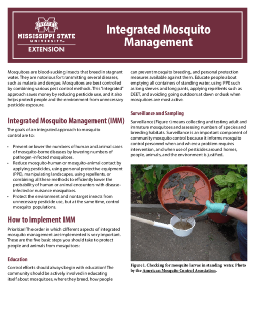 Preview of P3826_web.pdf