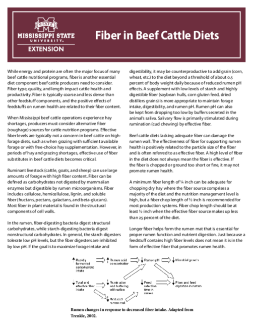 Preview of P2489_web.pdf