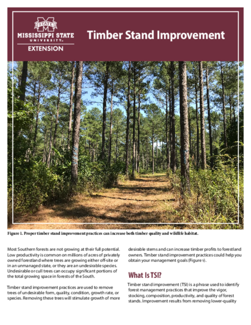 Preview of P1281_web.pdf