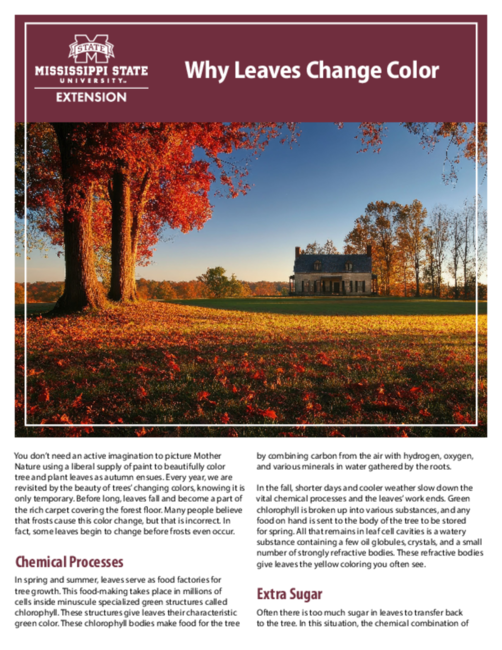 Preview of P3812_web.pdf