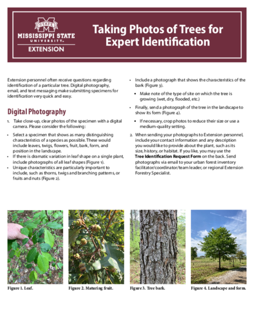 Preview of P3678_web.pdf