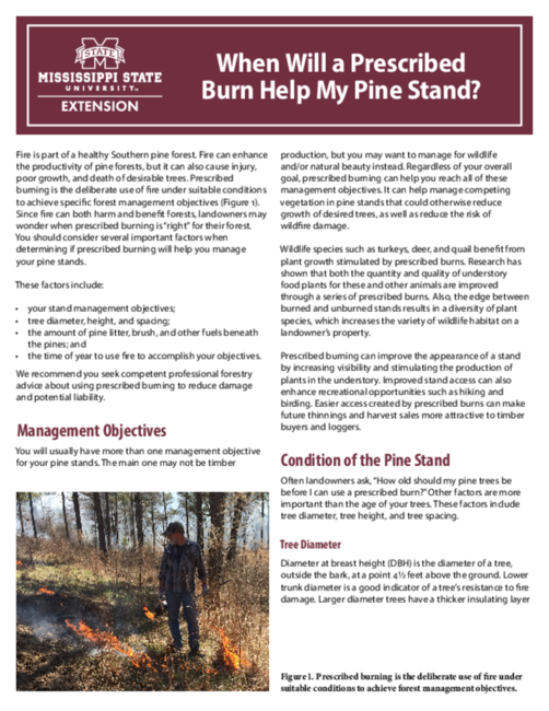 Preview of P2262_web_0.pdf