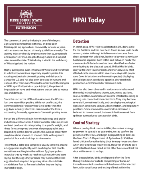 Preview of P4157_web.pdf