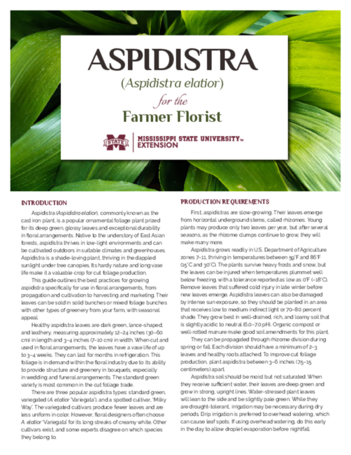 Preview of P4138_web.pdf