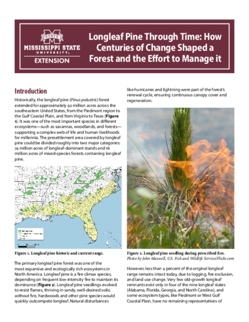 Preview of P4134_web.pdf