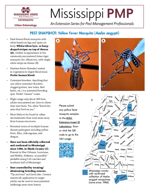 Preview of P4152_web