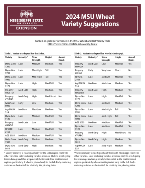 Preview of P4159_web_0.pdf