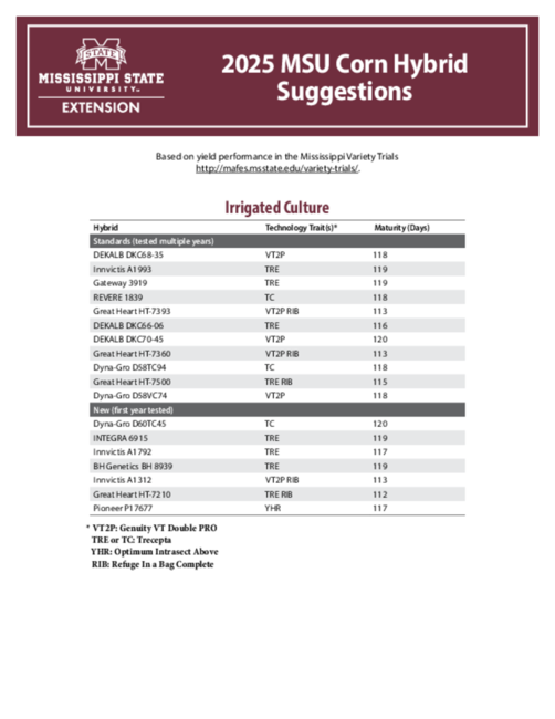 Preview of P4160_web_0.pdf
