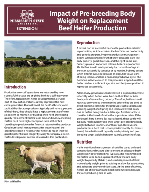 Preview of P4164_2025_web.pdf