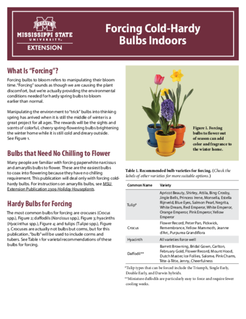 Preview of P2730_web_4.pdf