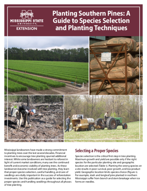Preview of P1776_web_4.pdf