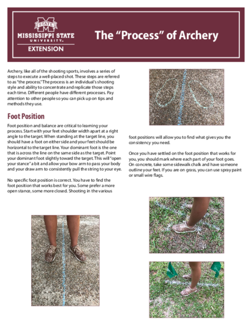 Preview of P3249_web.pdf