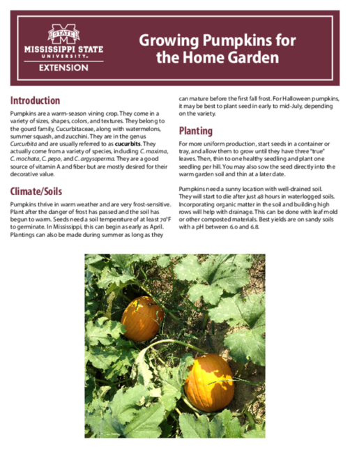 Preview of P2905_web.pdf