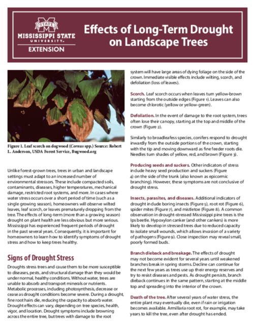 Preview of P3035_web_0.pdf