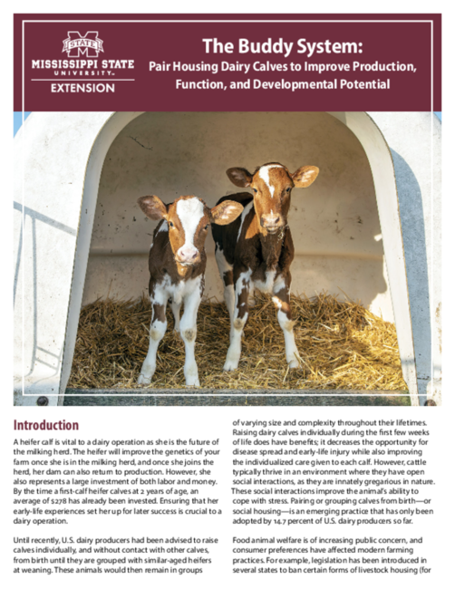 Preview of P3797_web.pdf