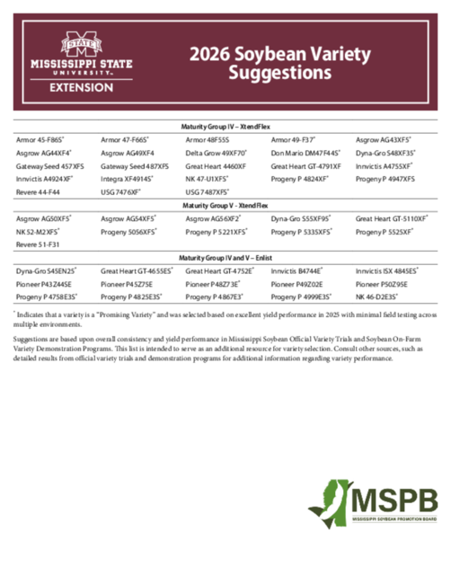 Preview of P4166_web.pdf