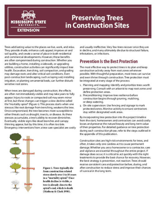 Preview of P2339_web.pdf