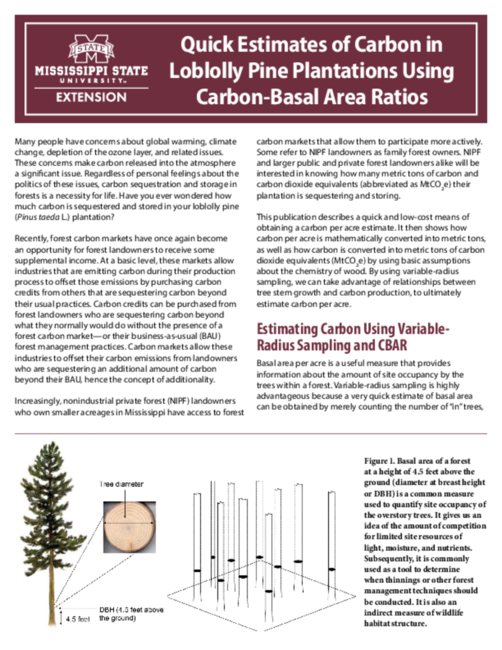 Preview of P3841_web.pdf