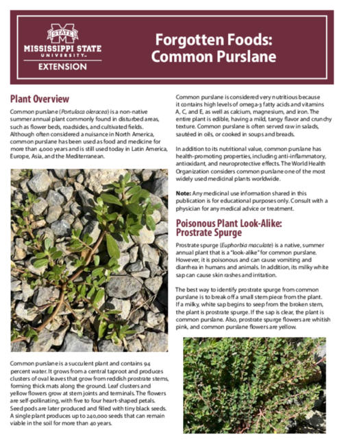 Preview of P4175_web.pdf