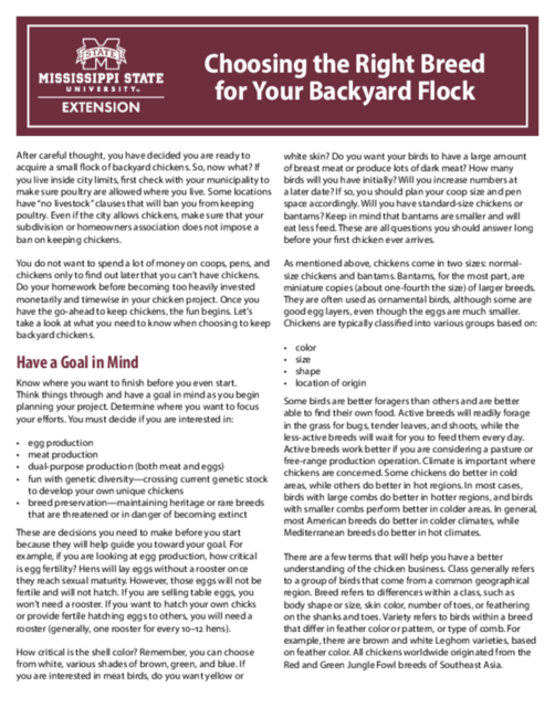 Preview of P3036_web.pdf