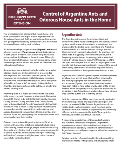 Preview of P2407_web.pdf